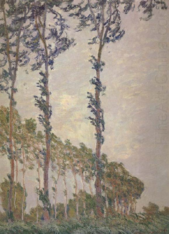 Claude Monet Wind Effect,Sequence of Poplars china oil painting image